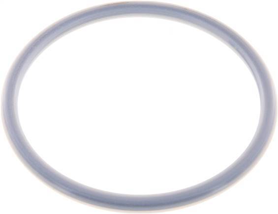 PTFE/FPM-Dichtung 100 mm für Tankwagenkupplung MK/MB Typ EN 14420-6