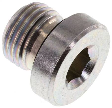 Plug M10 X 1 Steel NBR with Internal Hex 400bar (5620.0psi)