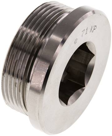 Plug M48 X 2 RVS FKM met binnenzeskant 250 bar (3512.5psi)