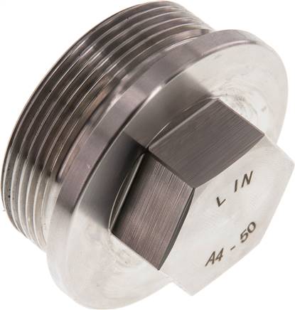 Plug G2'' RVS met kraag en buitenzeskant 40bar (562.0psi)