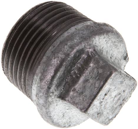 Plug R1'' Smeedbaar Gietijzer met Buitenvierkant 25bar [5 Stuks]