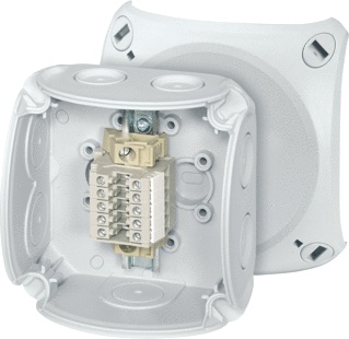 Hensel ENYCASE Surface mounted Wall/Ceiling Box - RK0205T