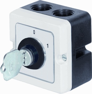 Telux Type PA Disconnector - M10 P A4+SA