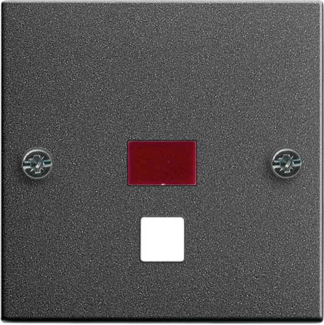 Gira System 55 Control Element/Central Plate Switchgear - 063828