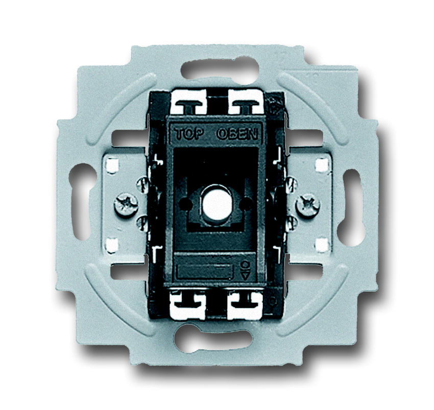 ABB Busch-Jaeger Basic Unit Installation Switch - 2CKA001012A1713