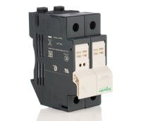 Schneider Electric TeSys Rohr-Sicherungshalter - DF101N