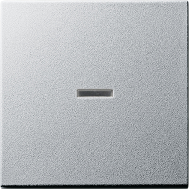 Gira System 55 Elément de commande/appareil de commutation à Plaque centrale - 029026