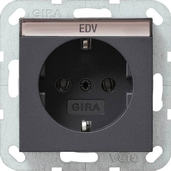 Gira System 55 Wall Socket Outlet (WCD Switchgear) - 045728