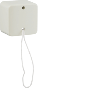 Hager Berker Surface-Mounted Installation Switch - 61390640