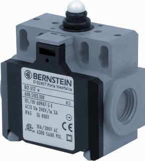 Bernstein Limit Switch - 6085103100