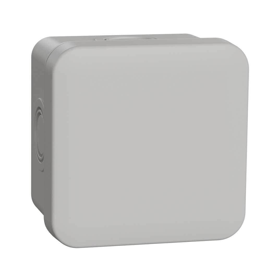 Schneider Electric Sarel MUREVA Surface mounted Wall/Ceiling Box - ENN05082