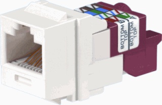 PAnduit Keystone Modular Connector - KJ5E88TWH