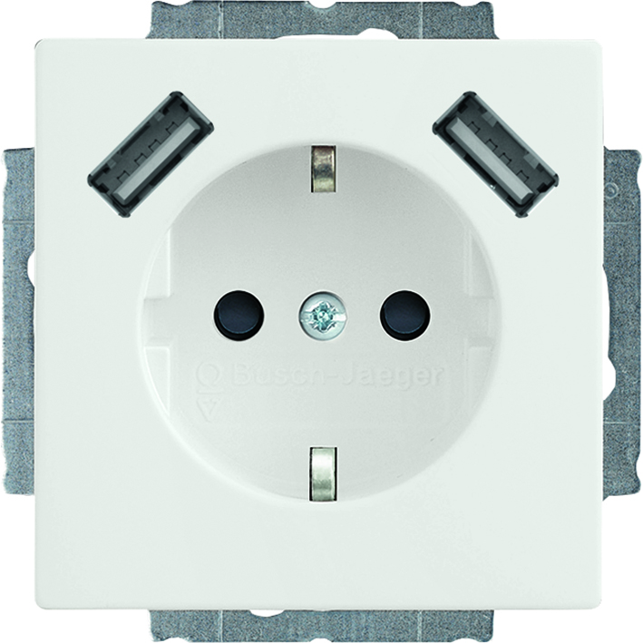 ABB Busch-Jaeger Wall Outlet (WCD Switchgear) - 2CKA002011A6273