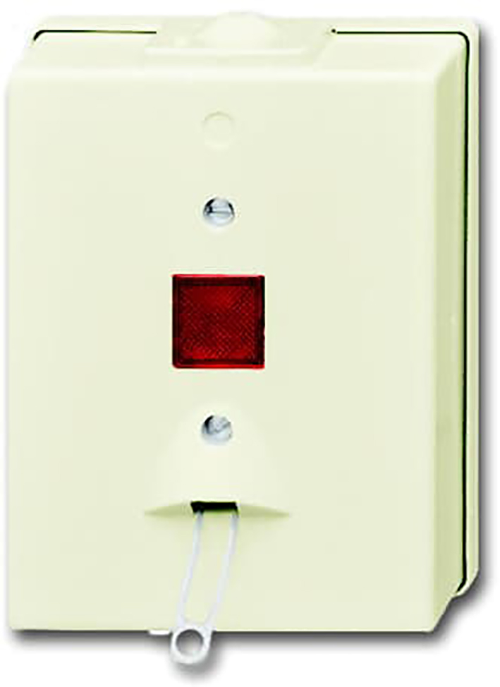 ABB Busch-Jaeger Surface-Mounted Standard Installation Switch - 2CKA001315A0449