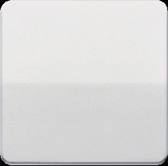 Jung CD500 Schakelelement/Centrale Plaat - CD590LG