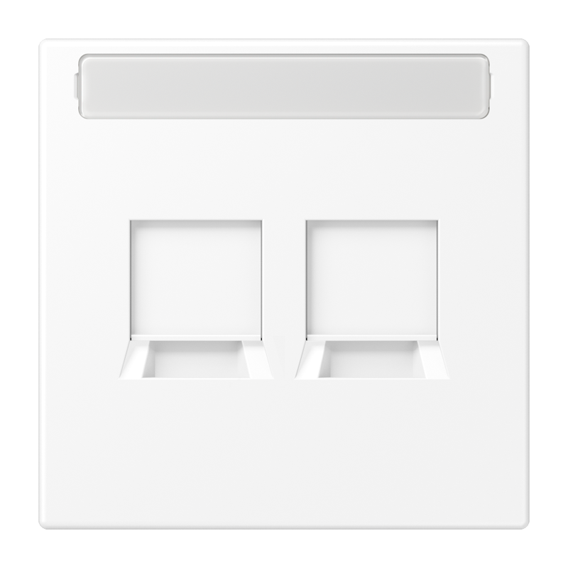 Jung LS RANGE Plaque D'insertion Commutateur - LS1969-2NAWEWWM