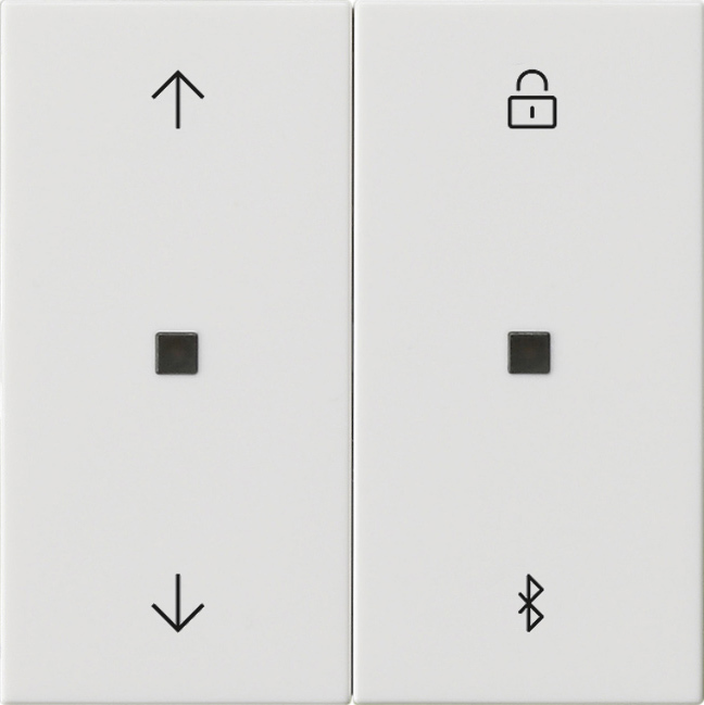 Gira Systeem 3000 Intelligent Controle Element - 536703