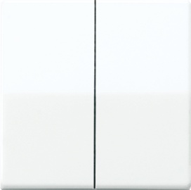 Jung AS500 - Élément de commande/appareil de commutation à Plaque centrale - AS591-5BFWW