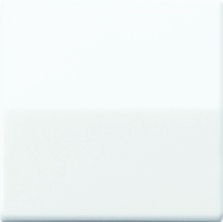 Jung AS500 Schakelelement/Centrale Plaat - AS591WW