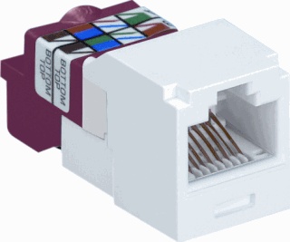 PAnduit Mini-Com Modularer Steckverbinder - CJ5E88TAW