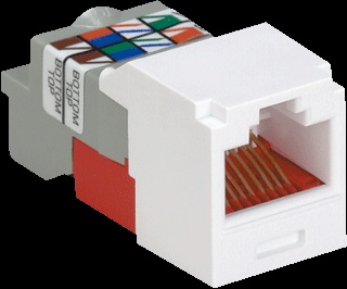 PAnduit Mini-Com Modular Connector - CJ5E88TBL