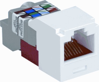 Conector Modular Mini-Com PAnduit - CJ5E88TIW