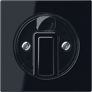 Elemento De Control Jung/Conmutador De Placa Central - A1541SW