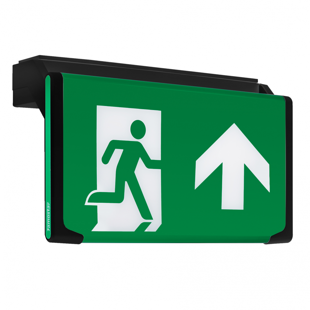 Famostar D-Sign Emergency Lighting Fixture - 393820