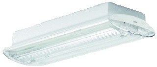 Eaton Blessing Cronus Emergency Lighting Fixture - 185-200-010