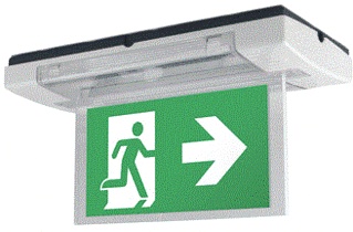 Eaton Blessing Skopos Emergency Lighting Fixture - 100-062-525