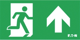 Eaton Blessing Skopos Pictogram Emergency Lighting - 145-001-003