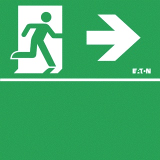 Eaton Blessing Skopos Pictogram Emergency Lighting - 174-001-051