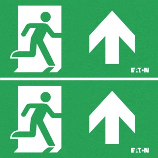 Eaton Blessing Skopos Pictogram Emergency Lighting - 174-001-062