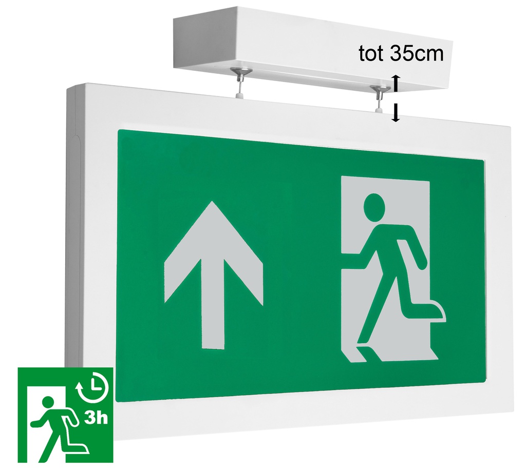 Dispositivo de Iluminación de Emergencia Megaman - MM10487