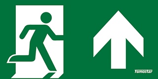 Famostar Pro Pictogram Emergency Lighting - 392713