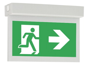 Eaton Blessing GuideLED Emergency Lighting Fixture - 40071353264