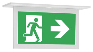 Eaton Blessing GuideLED Emergency Lighting Fixture - 40071353267