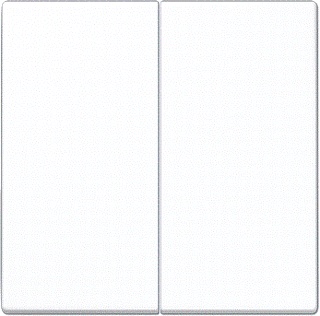 Jung LS990 Control Element/Central Plate Switchgear - LS995WW