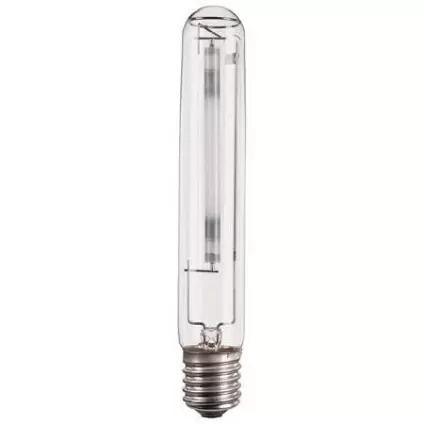 Philips Master Lampe à Vapeur De Sodium Haute Pression - 19230115