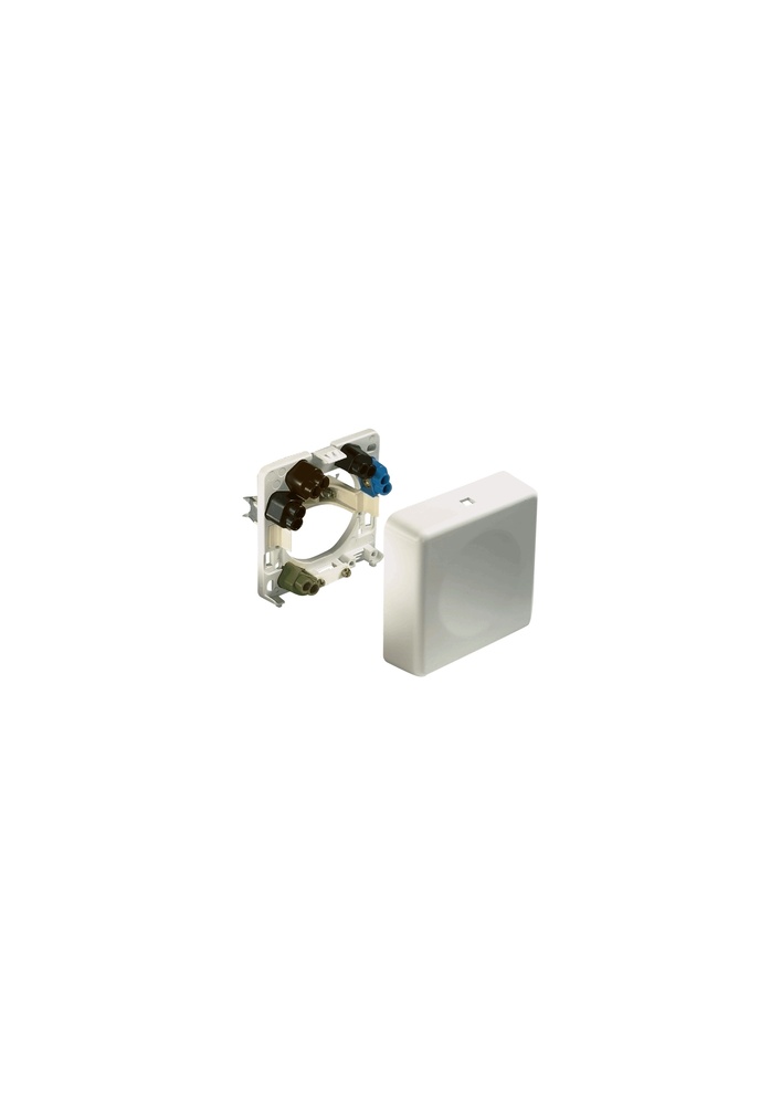 ABL Connectivity Flush/Surface Mounted Dedicated Socket - White - 2505210