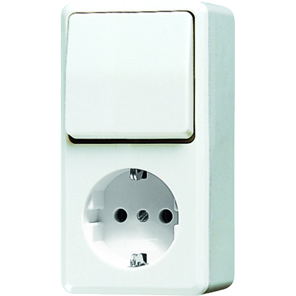 JUNG AP600 Combination Switch Outlet RA Alpin White - 676AWW