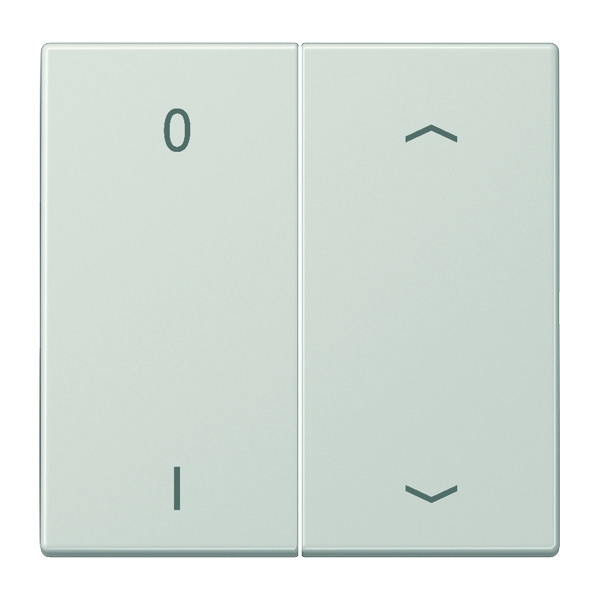 Jung Transmisor de pared inalámbrico EnOcean LS990 de 4 canales con símbolos - ENOLS995P01LG