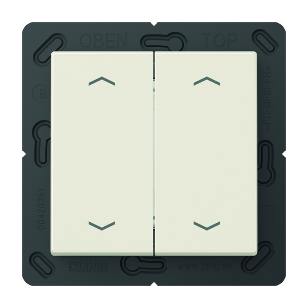 Jung EnOcean Wireless Wall Transmitter With Symbols - ENOA595MP