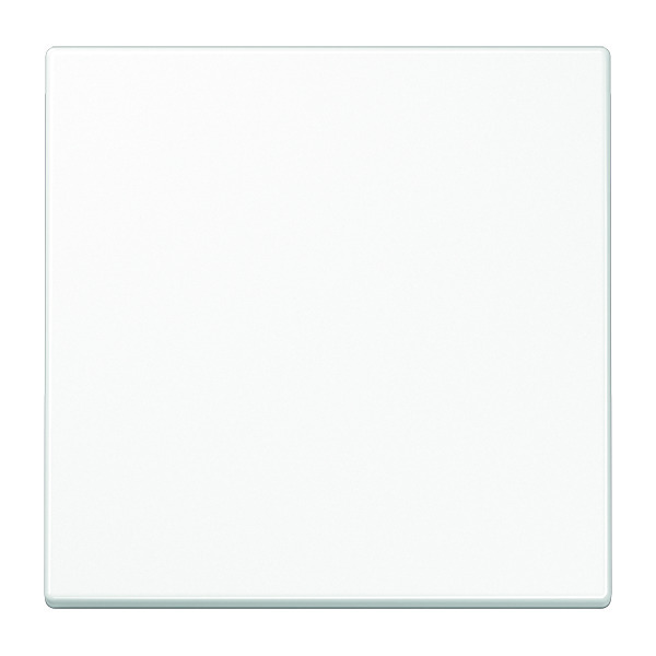 Transmisor inalámbrico de pared LS990 Alp Blanco 2 canales de Jung Eno - ENOLS990WW