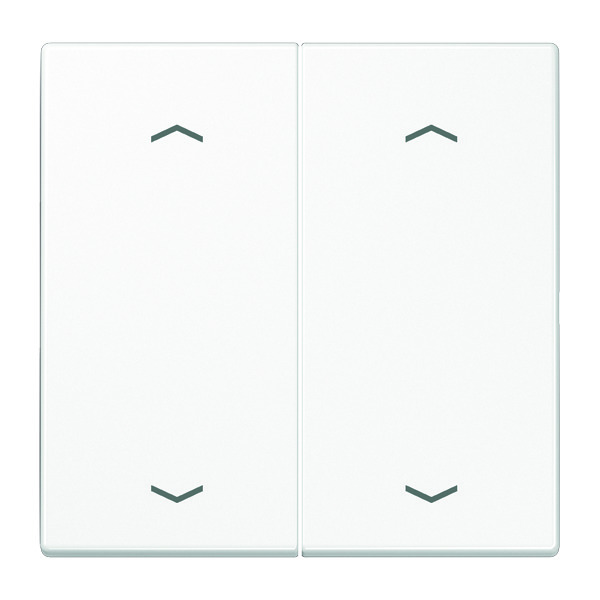 Jung EnOcean Radio Transmisor de Pared LS990 A Blanco 4 Canales Símbolos - ENOLS995MPWW