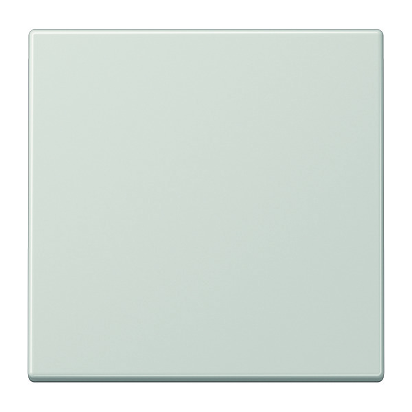 Jung EnOcean LS990 Transmisor inalámbrico de pared de 2 canales - ENOLS990LG