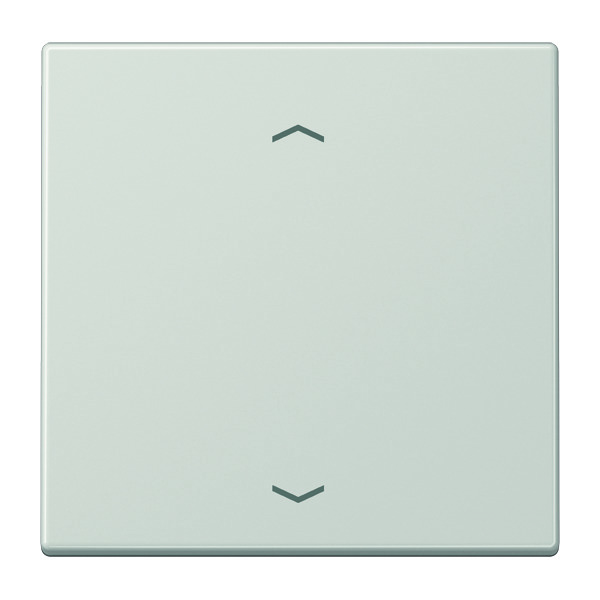 Emetteur mural sans fil Jung EnOcean avec symboles - ENOLS990PLG