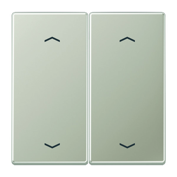 Jung EnOcean draadloze wandzender met symbolen - ENOES2995MP-L