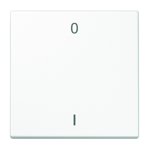 Jung EnO Funk Emisor de pared LS990 Blanco 2 canales con símbolos - ENOLS990-01WW