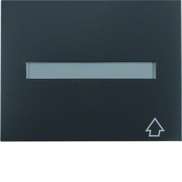 Hager Berker Intermediate Ring With Hinged Cover For Central Plate - 11547106